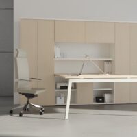 Silla directiva E+