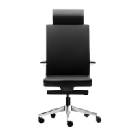 Silla directiva E+