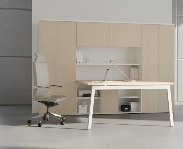 Silla directiva E+