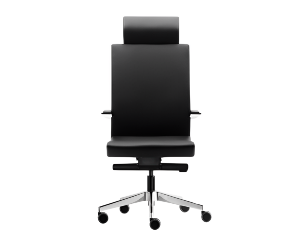Silla directiva E+