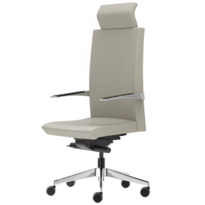 Silla directiva E+