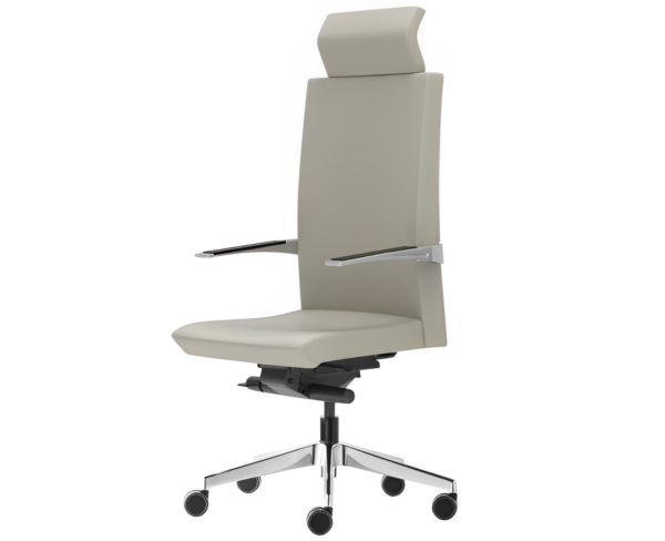 Silla directiva E+