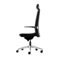 Silla directiva E+