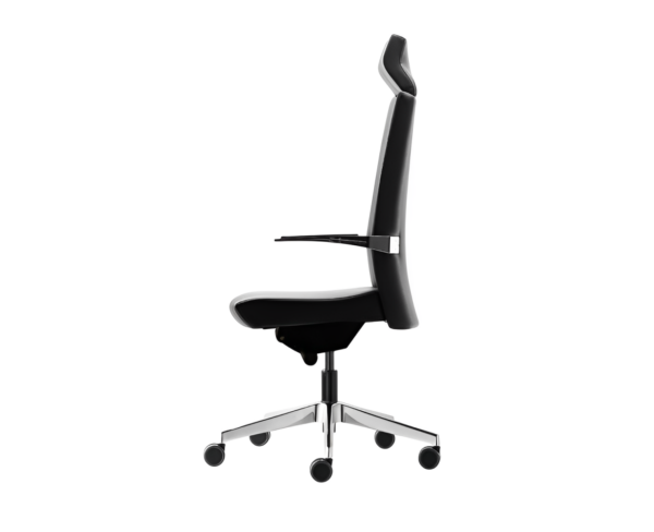 Silla directiva E+