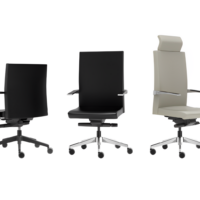 Silla directiva E+