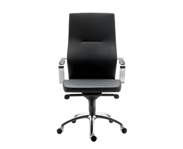 Silla directiva Theus