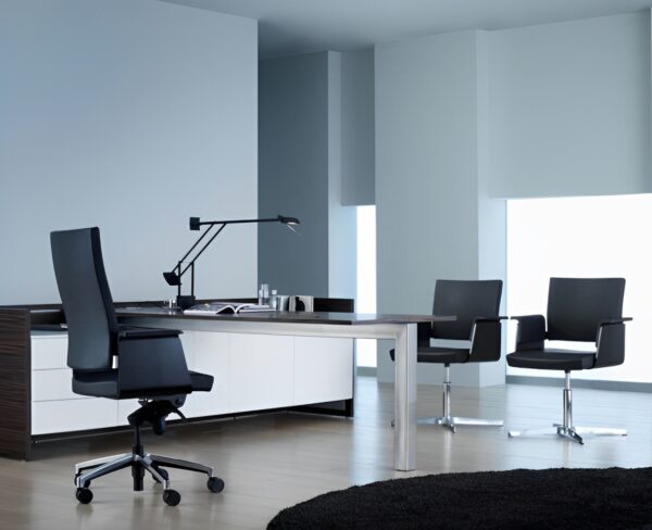 Silla directiva Garbo