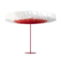 Parasol Bloom