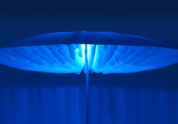 Parasol Paddo - Imagen 4