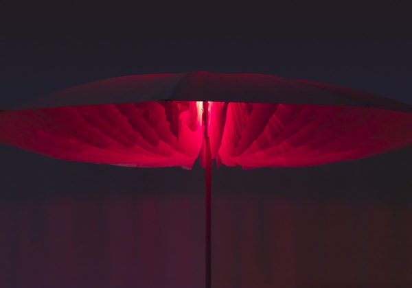 Parasol Paddo - Imagen 3