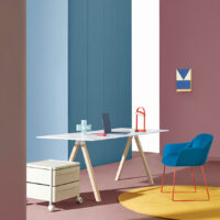 Boxie en ambiente