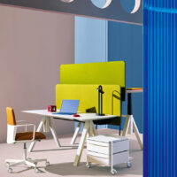 Boxie en ambiente