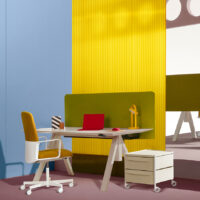 Boxie en ambiente
