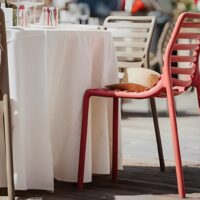 Silla Doga en ambiente